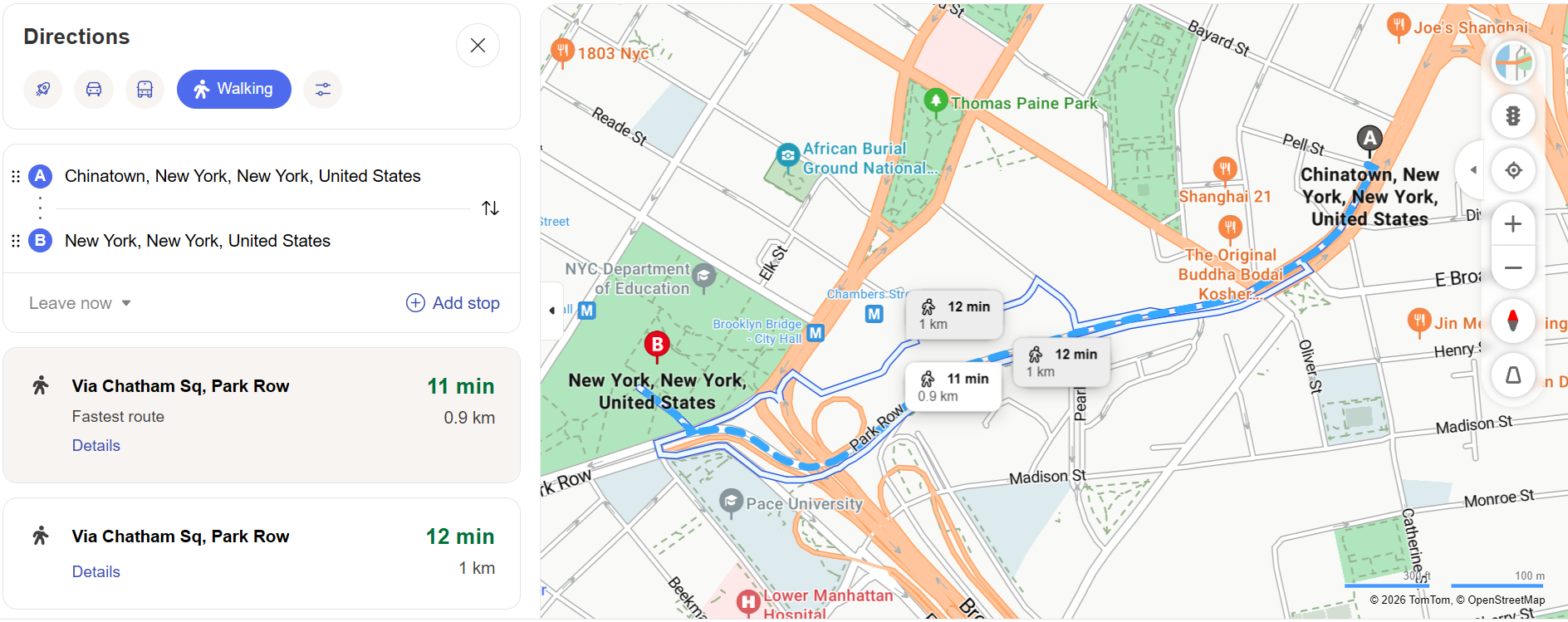 Bing Maps Walking Directions Interface